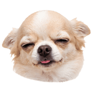 010