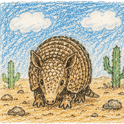032