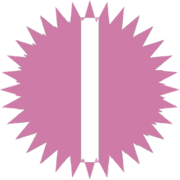 242