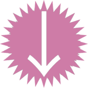261