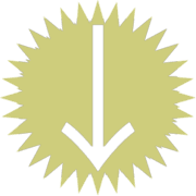 261