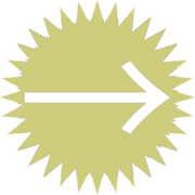262