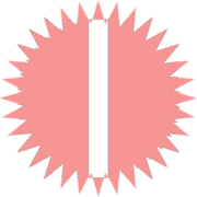 242