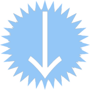 261