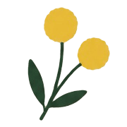 029
