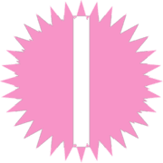 242