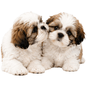 021
