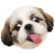 036