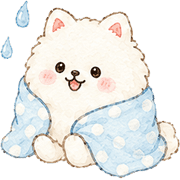 031