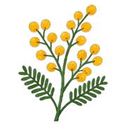 006