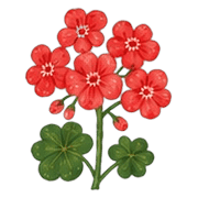 011
