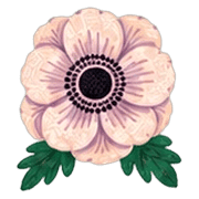 016