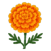017