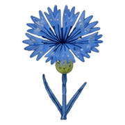 018