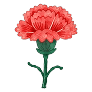 019