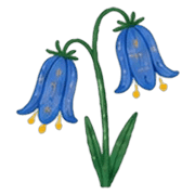 031