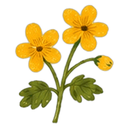 032