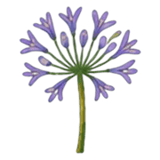033