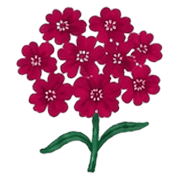 034