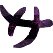 091