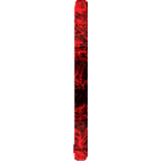 242