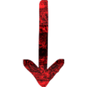 261