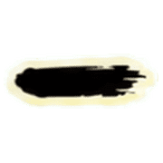 251