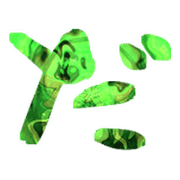 066
