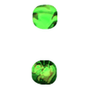 244