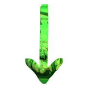 261