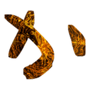 006