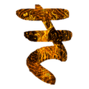 007