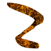 010