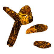016