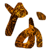 021