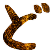 070