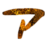 081