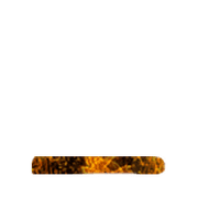 250