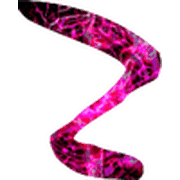 010