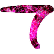 019