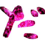 066