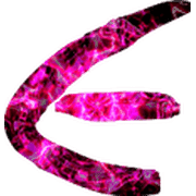 166
