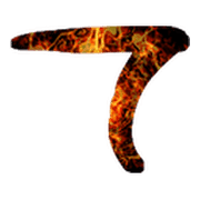 019