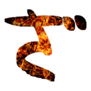 061
