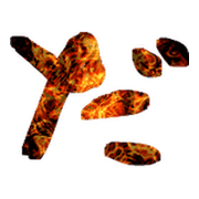 066