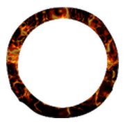 264