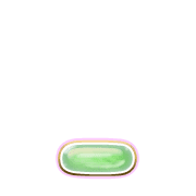 250
