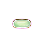 251