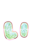 048