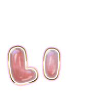 048